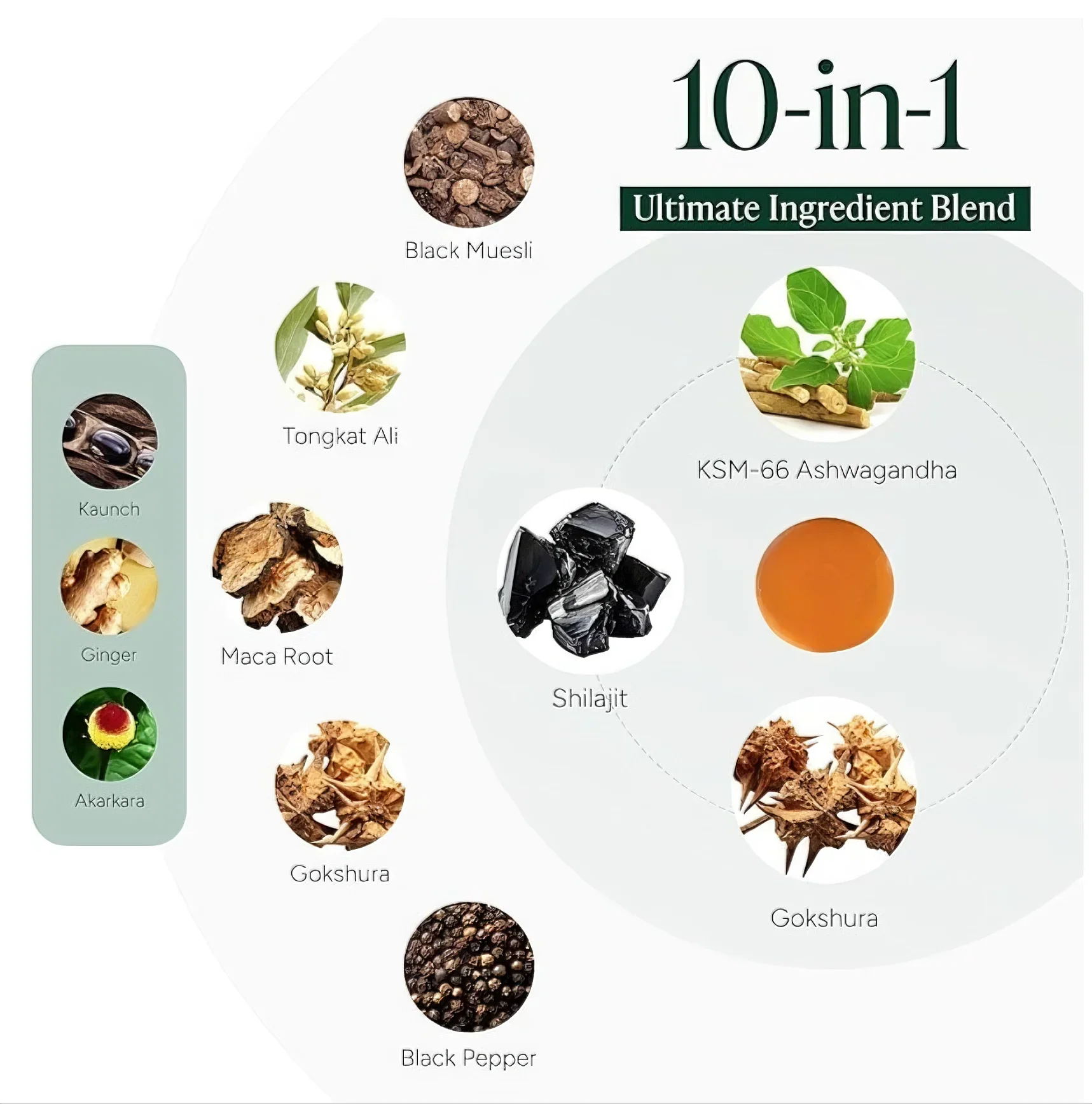 Alpha 10-in-1 Gummies – 4000mg Super Herbs Blend – 60 Count, Clean & Sugar-Free - Image 4