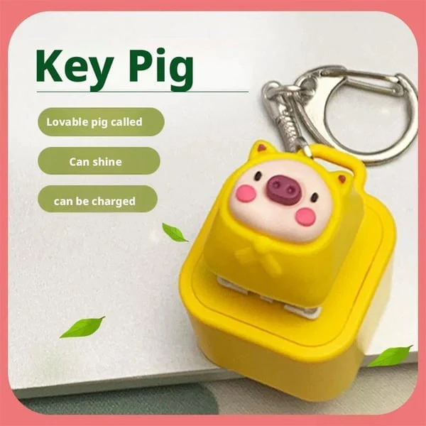 Frog Croaking Fidget Toy - Rechargeable Frog Croaking Keychain - Image 13